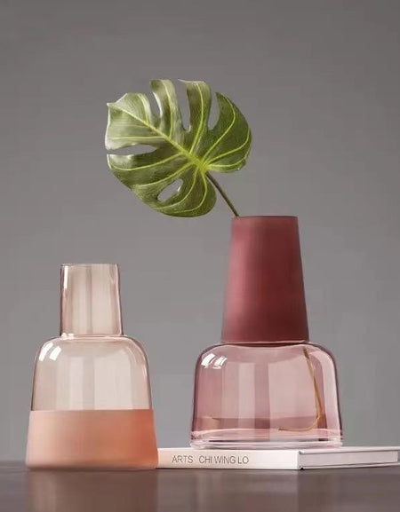 Transparent Glass Vase Hydroponic